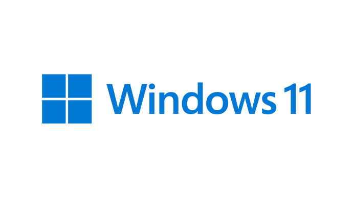 Windows 11 operating system logo.