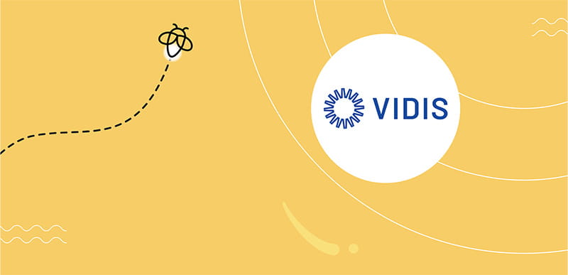 VIDIS logo on a yellow background with illustrated firefly and dotted flight path.