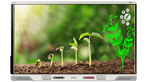 Plant growth stages on a SMART Board