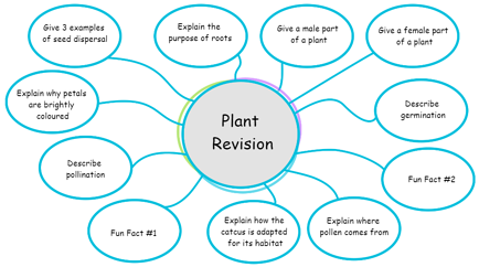 Mindmap Graphical Organiser