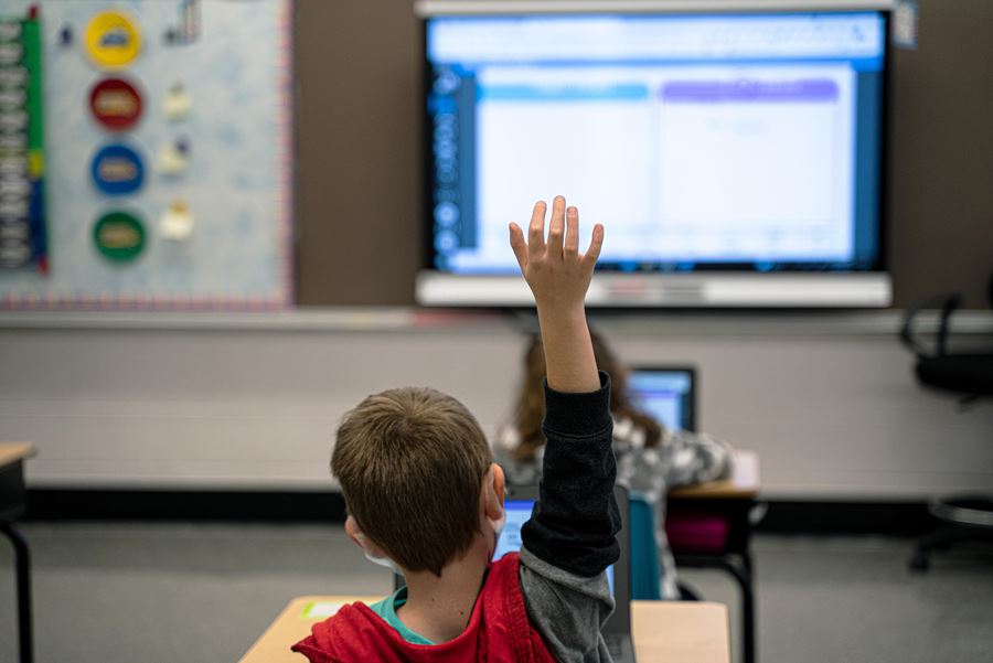 Young student raising his hand